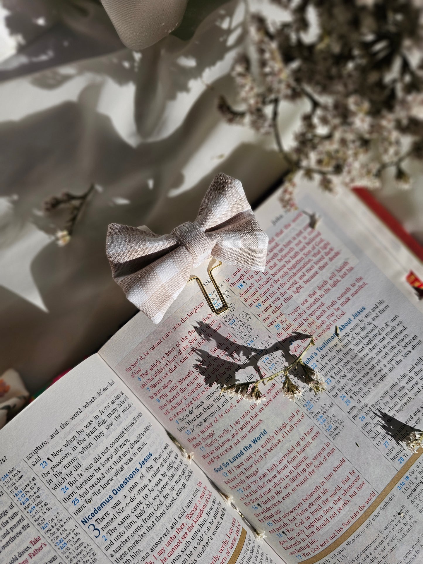 Placeholder Bows: Spring Collection