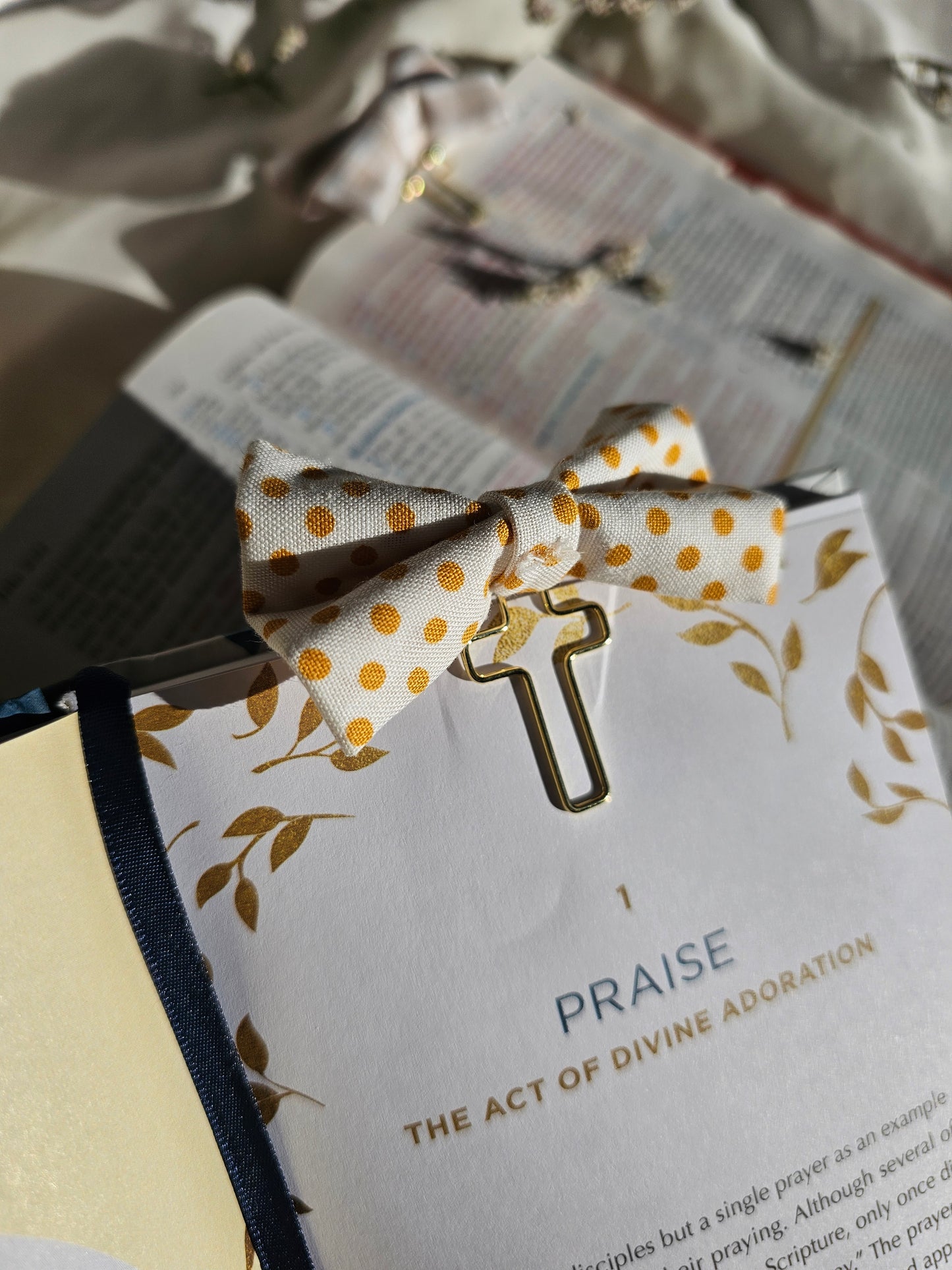 Placeholder Bows: Spring Collection