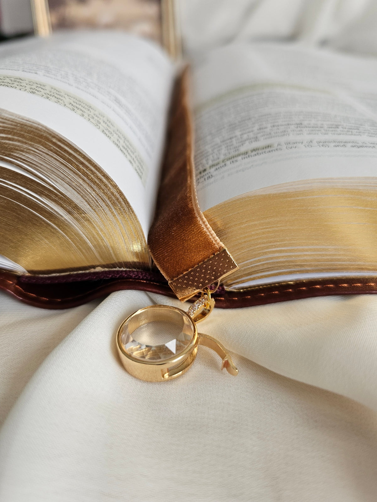 Caramel Velvet ribbon with gold locket charm on one end and cluster of beads charm on another end laying on top of the Bible. 