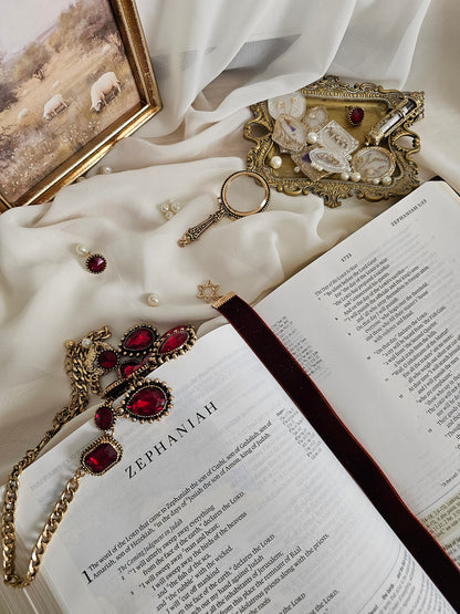 Burgundy ribbon with gold Star of David and Lion on either end sitting on an open Bible.